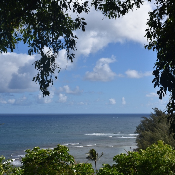 Meet your Posher, Perfect Kini - Picture 11 of 16